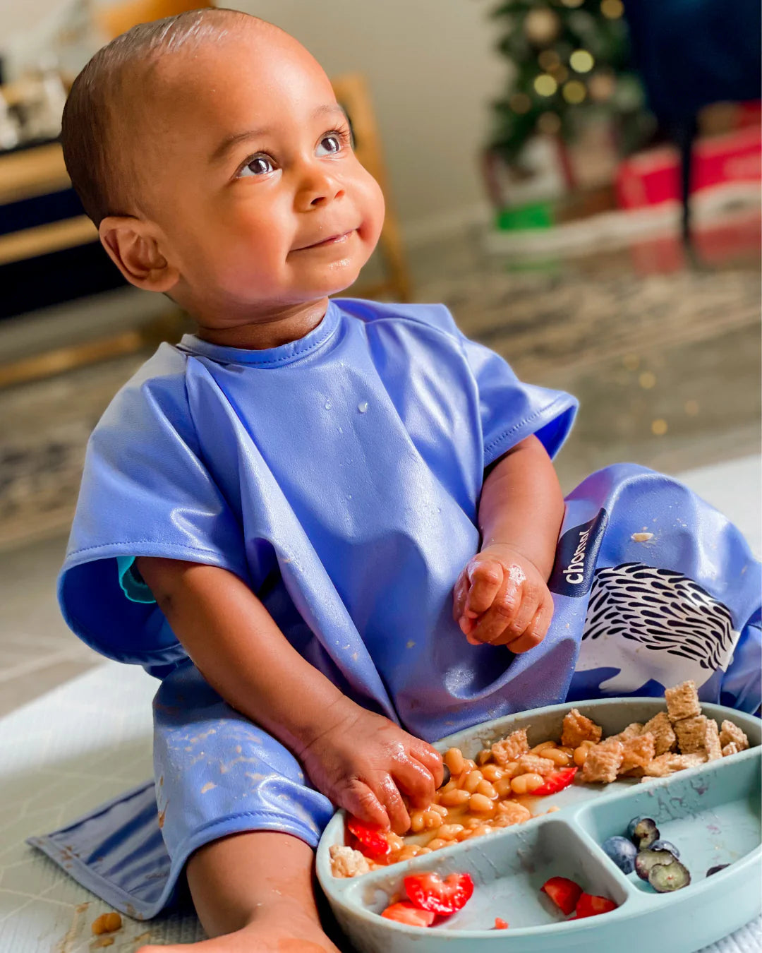 Short Sleeve Messy Mealtime (Toddler) Smock Bib: 8mths to 4yrs - various colours