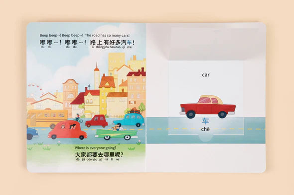 My Favorite Gift (Simplified Chinese)