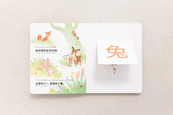 My Beautiful Earth (Simplified Chinese)