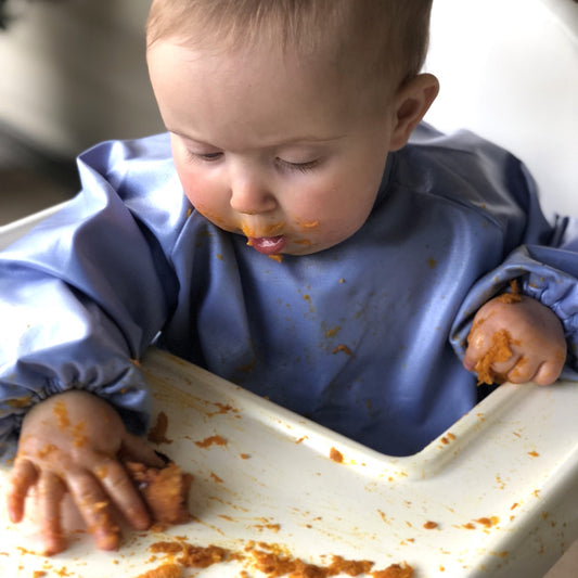 Messy Mealtime (Toddler) Smock Bib: 8mths to 2+yrs - various colours