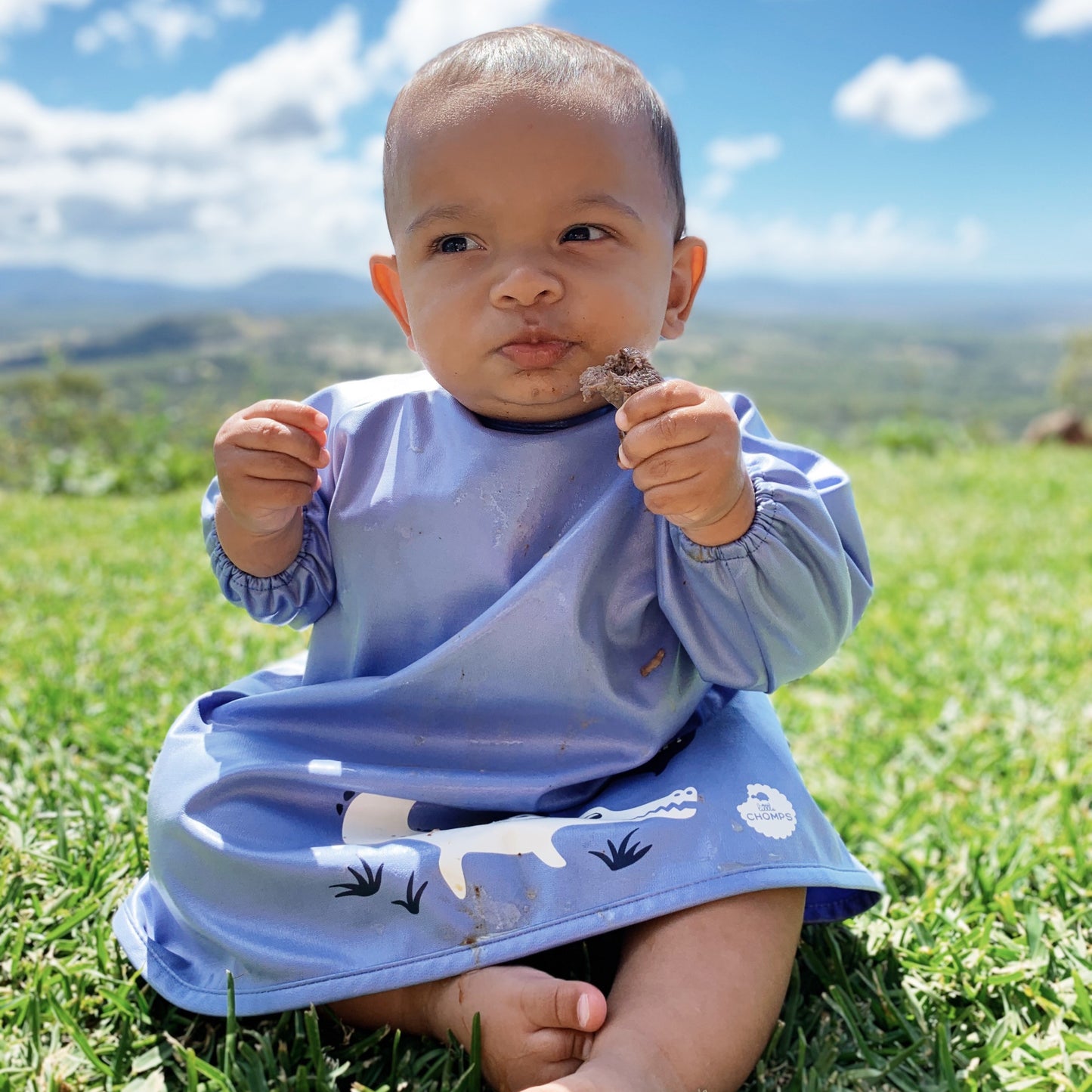 Messy Mealtime (Starter) Smock Bib: 0-8+mths - various colours