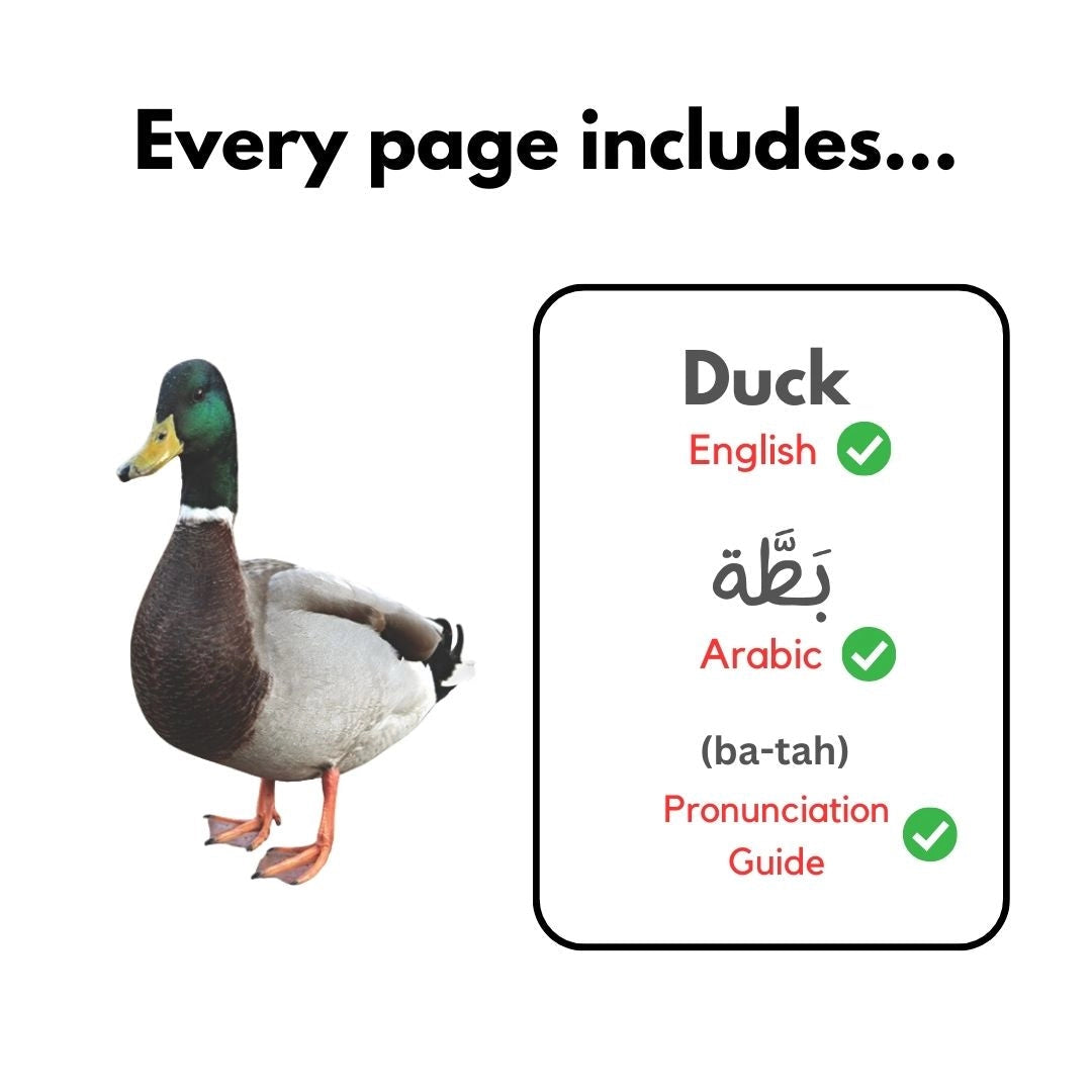 My First Arabic Words Series