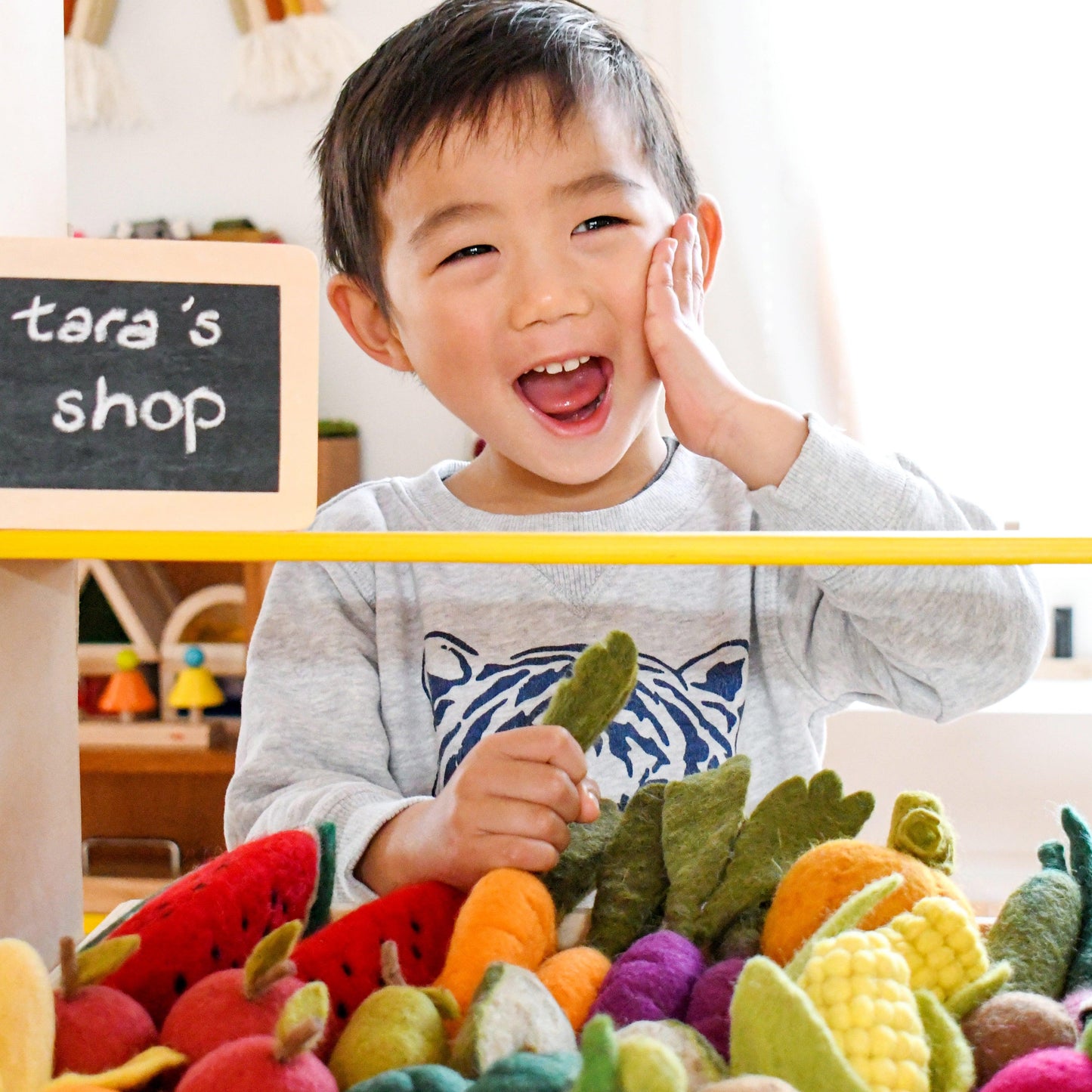 Felt Vegetables and Fruits Set A - 14 pieces