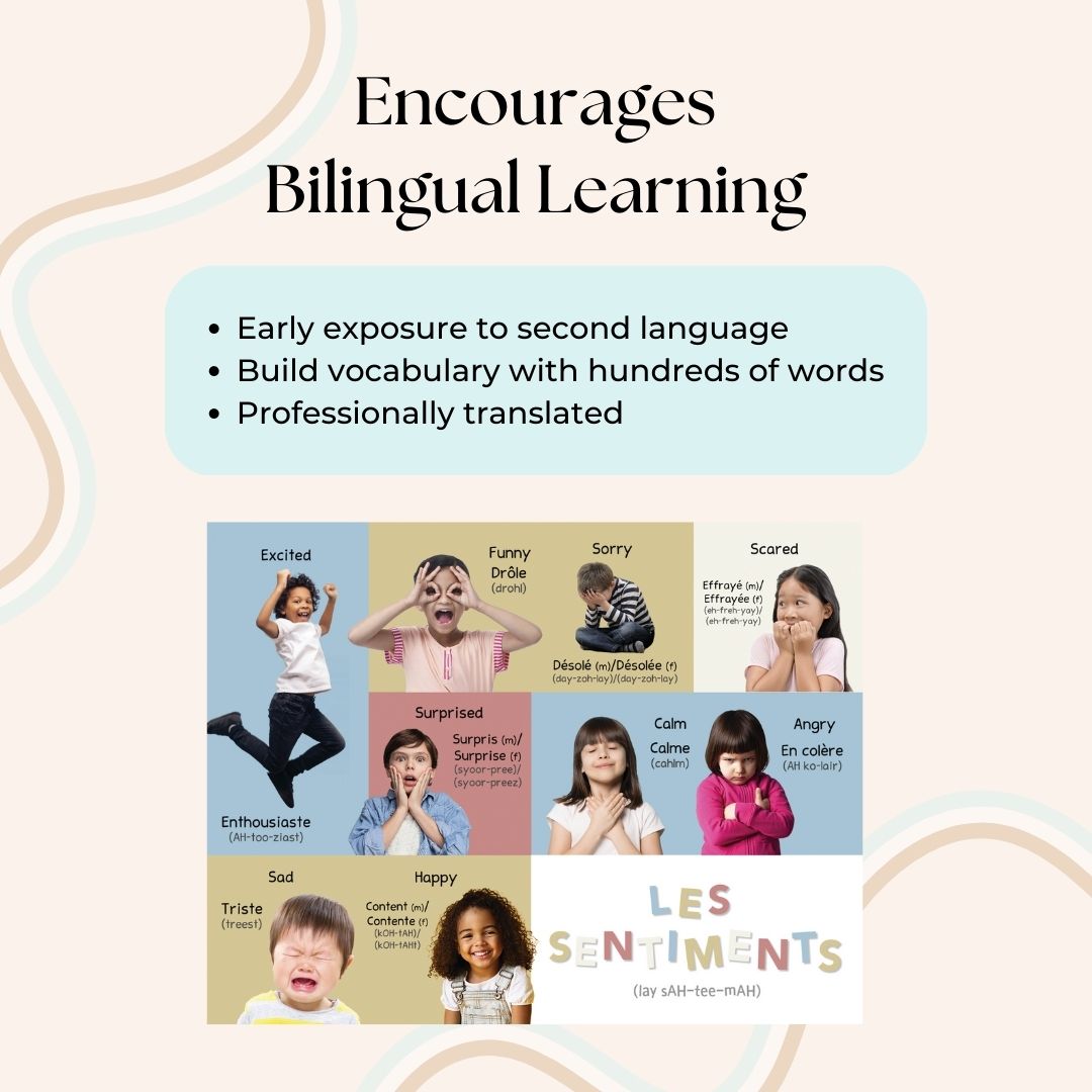 My First French Words Series