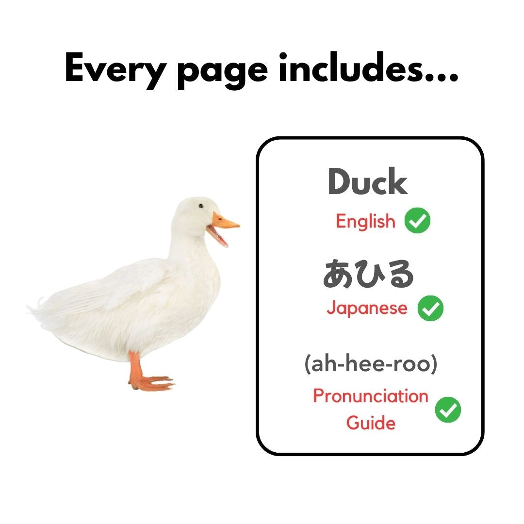My First Japanese Words Series