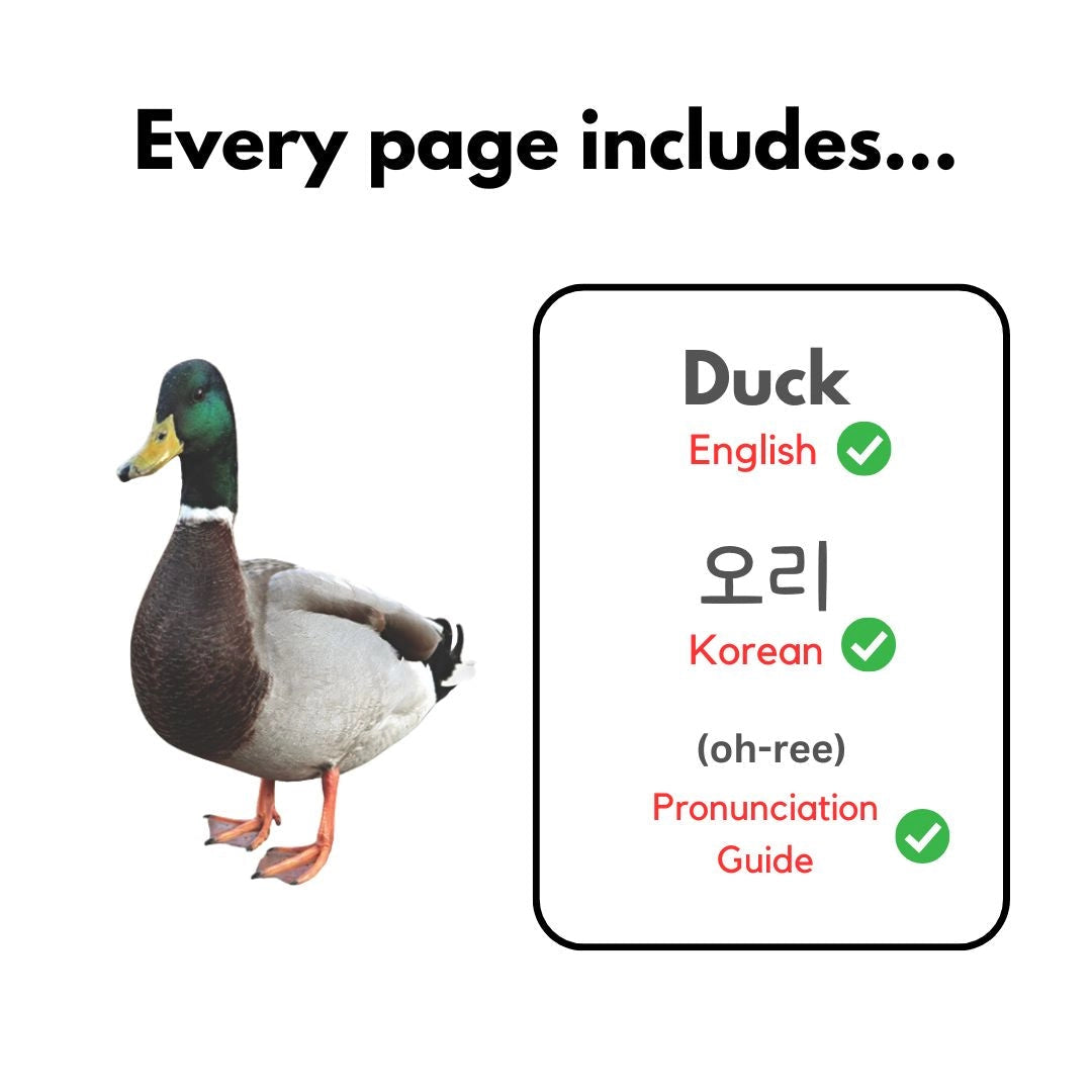 My First Korean Words Series