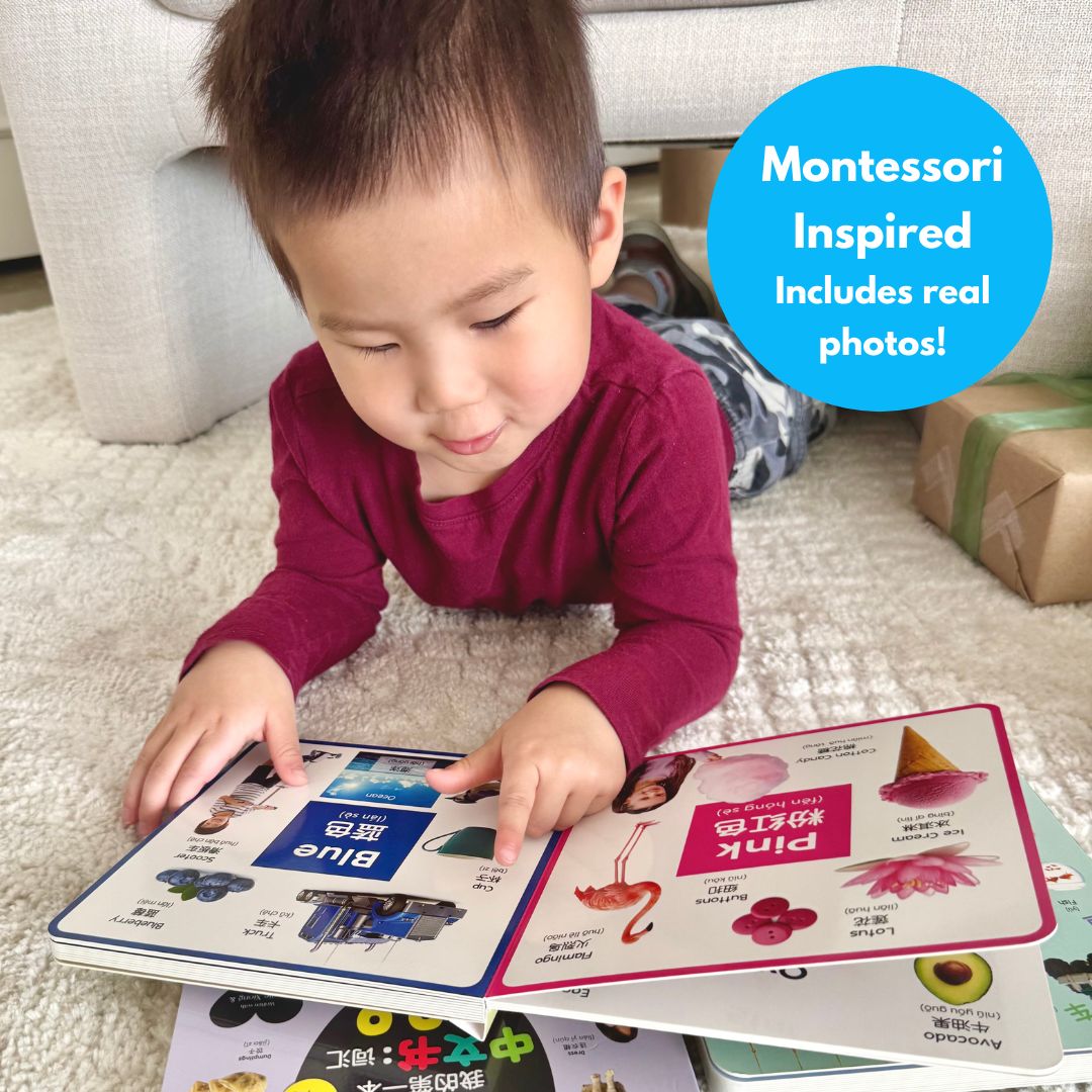 PRE-ORDER-My First Chinese Words Series (Simplified Chinese)
