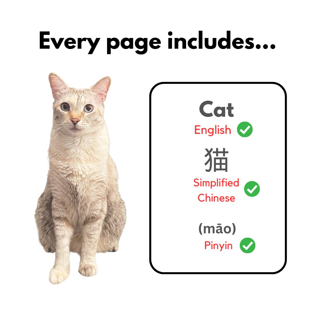PRE-ORDER-My First Chinese Words Series (Simplified Chinese)
