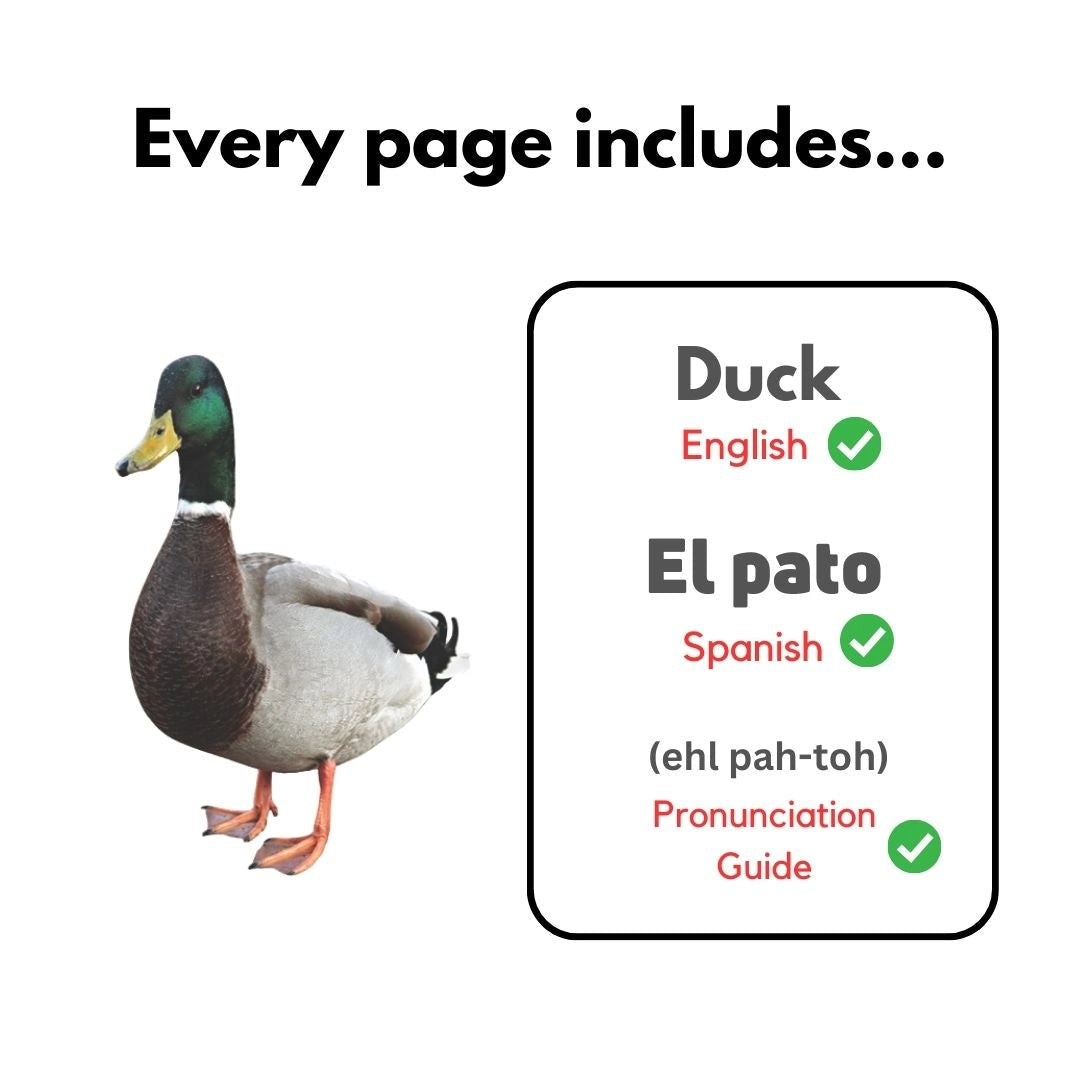 My First Spanish Words Series
