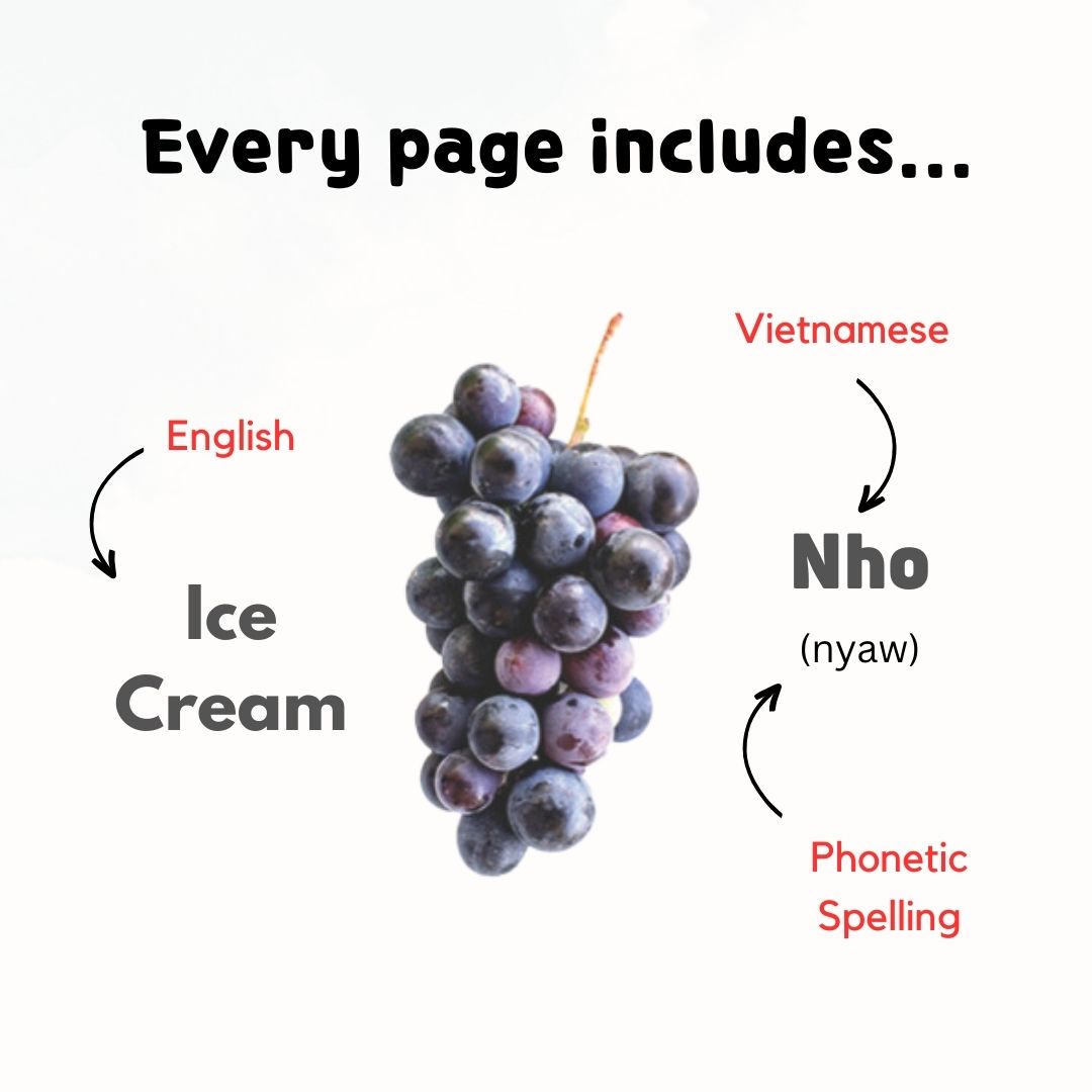 My First Vietnamese Shapes, Colors and Numbers