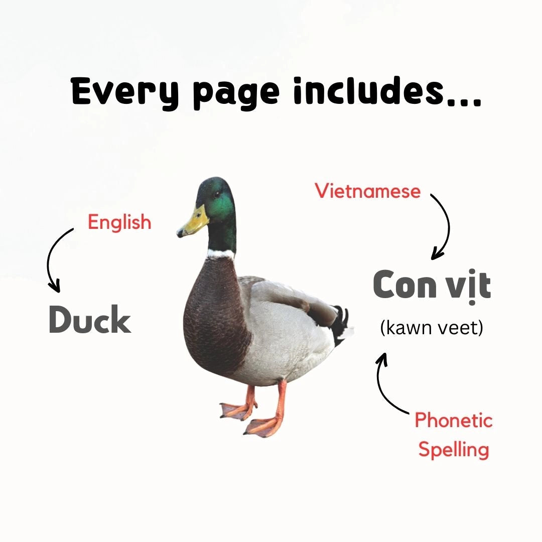 My First 100 Vietnamese Words