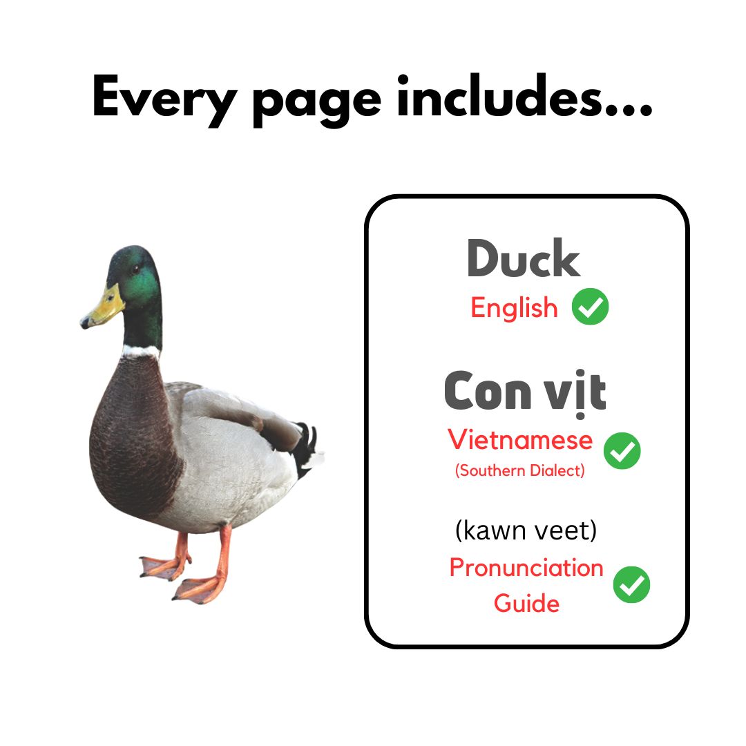 My First Vietnamese Words Series